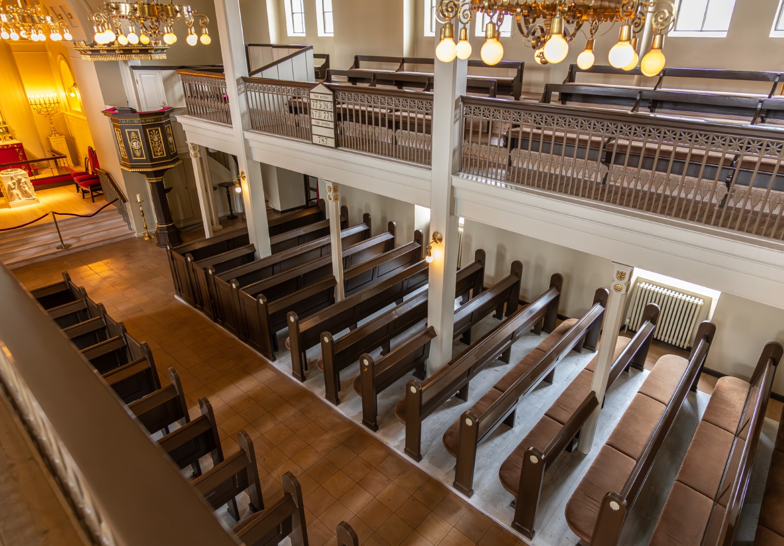 850_1596-Enhanced-NR (1550×1080)