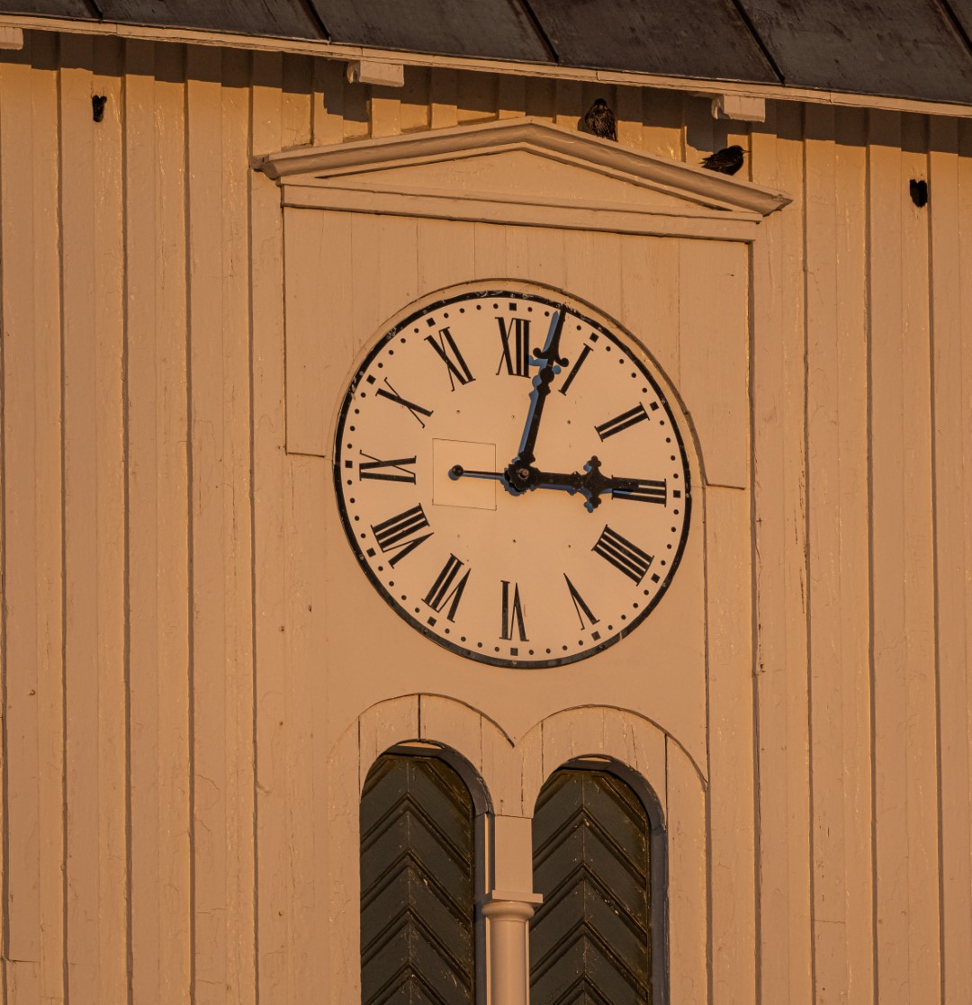 850_3496 (1080×1117)