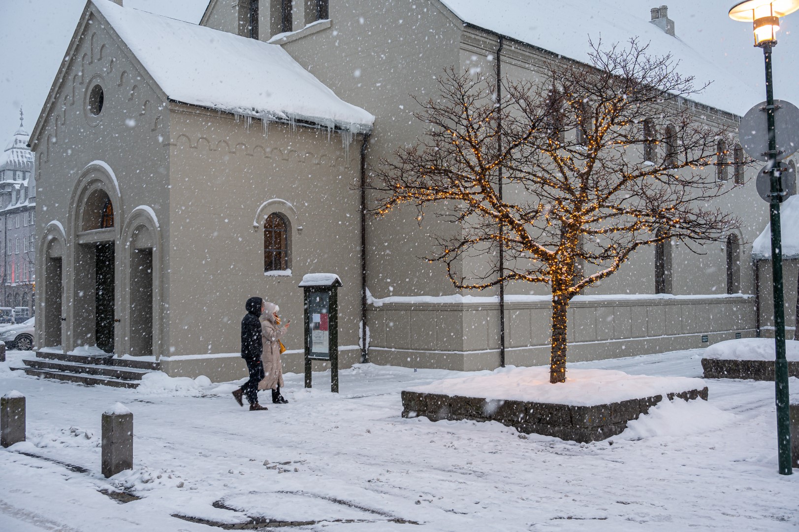 AAZ_0157 (1623×1080)