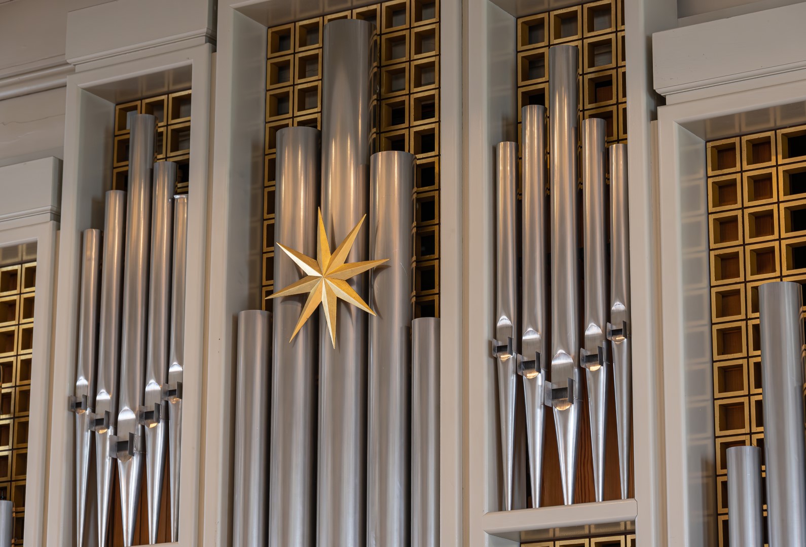 AAZ_5232-Enhanced-NR (1590×1080)