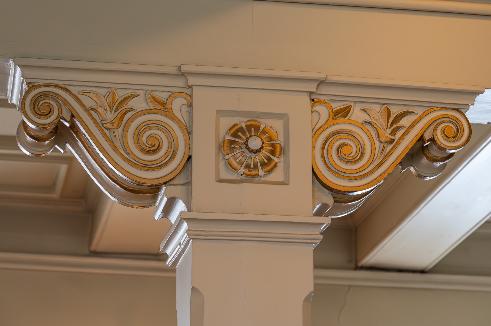 AAZ_5236-Enhanced-NR (1626×1080)