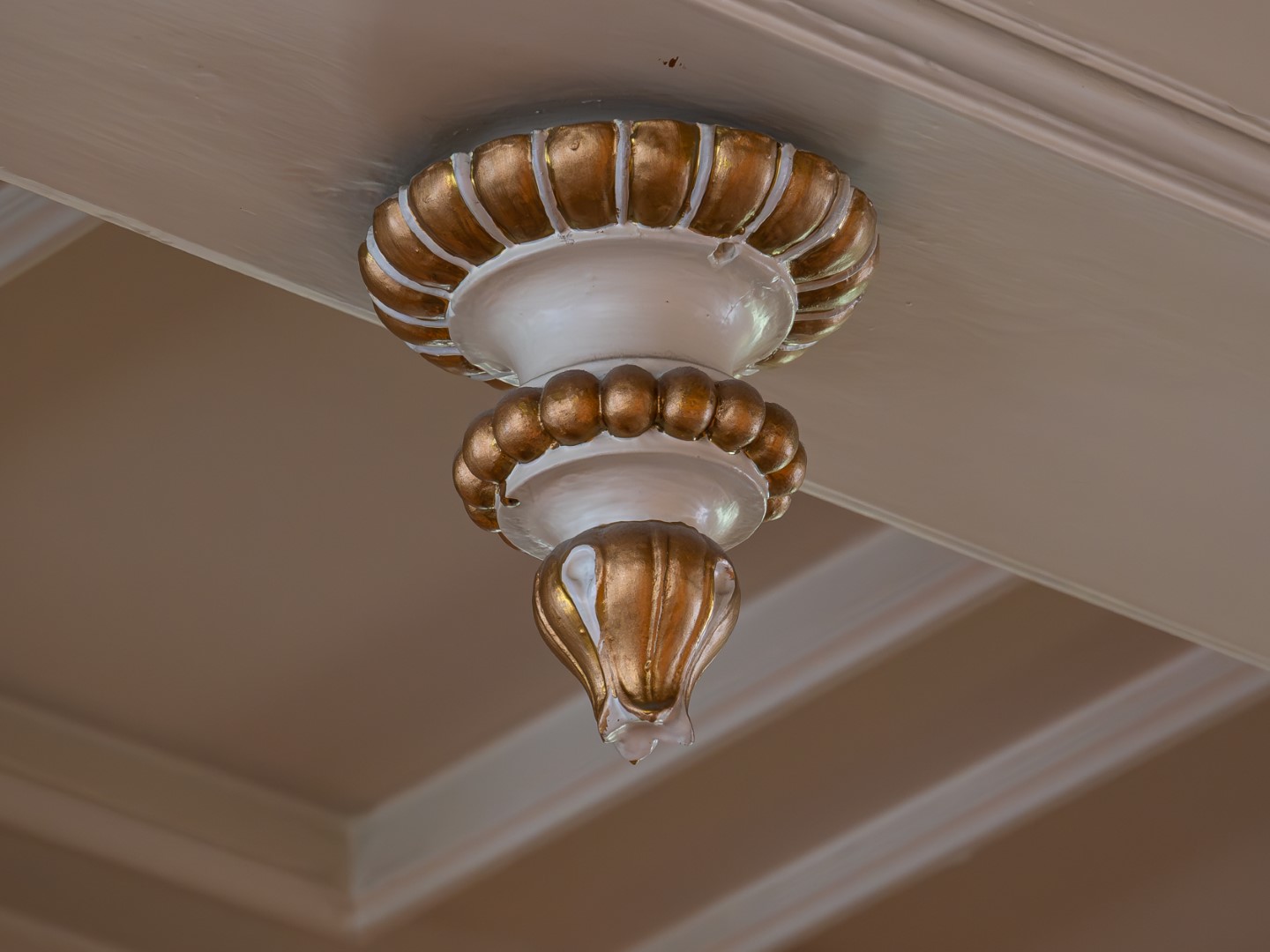 AAZ_5263-Enhanced-NR (1440×1080)